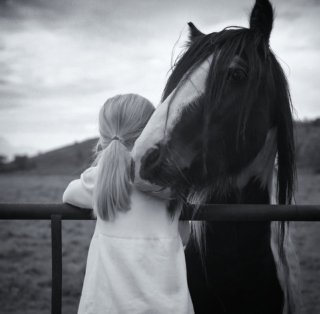 Horse whisperer